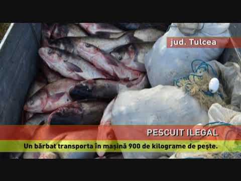 900 de kg de pește pescuit ilegal, confiscate