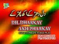 Dil-Dharkay-Akh-Phatkay-5