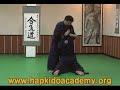 Hapkido Cheong Kyum Kwan