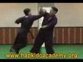 Hapkido Cheong Kyum Kwan