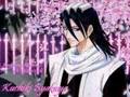 Byakuya Kuchiki Tribute