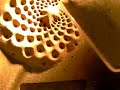 Sunflower - Exploratorium