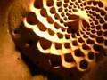 Sunflower - Exploratorium