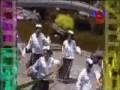 Cucak rawa HESTY DAMARA