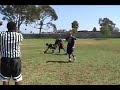 Velocity vs Quick Strike