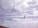 Skuas 2