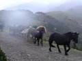 videos de Tria de Mulats - Espinavell 2006-1, culTOURa