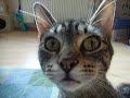 Tinka und Paulchen Tag3