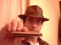 gaita blues   blues harmonica player   the train