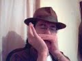 gaita blues   blues harmonica player   the train
