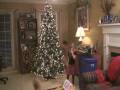 Christmas Tree Decorating Ideas For Every Hobby