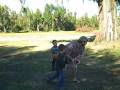 Turkey Bowl 2008.wmv