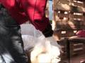 videos de un chalet équitable 2 part.