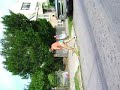 !!!!!!! 015.AVI