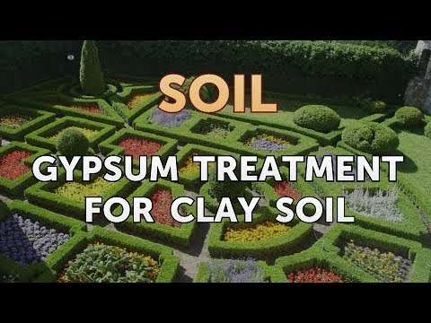 video-linktoworks-Gypsum Treatment for Clay Soil