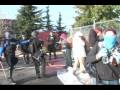 Port Militarization Resistance -- Peppersprayed in Olympia