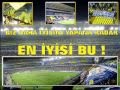 fenerbahce alex de souza