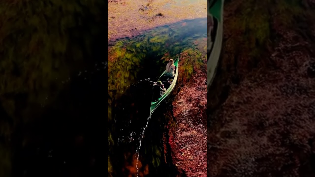 Cenas que dão orgulho do Brasil 🥹