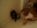 Le chat porte le linge de Mady