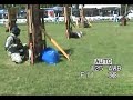mahogany tournament