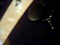 videos de D D R T L O M F A I L X T R A S T A G E