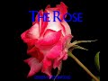 The Rose