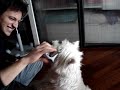 Brina vs Squalo/Infradito Brina vs Squalo/Infradito