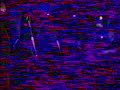 coitus-real-cold-fear.html