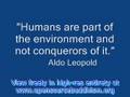 Environmental Ethics