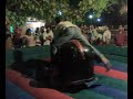 Ride On Bull