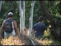 Butrint 2009 - përgatitën Arben Tafili dhe Ilir Lena