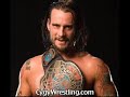 CM Punk-Pepsi Plunge