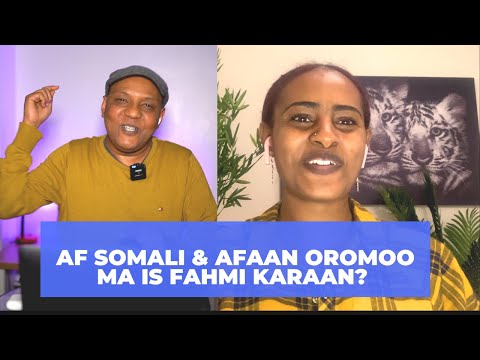 Naji Show- Similarities Between Somali and Oromo-Af Somali & Afaan Oromoo ma is fahmi karaan?