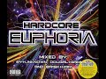 A quality hardcore track mixed by darren styles H.T.I.D