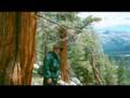 Tuolumne Meadows Adventure