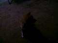 SeaBreeze Playing