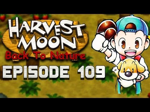 how to store pumpkins after harvest