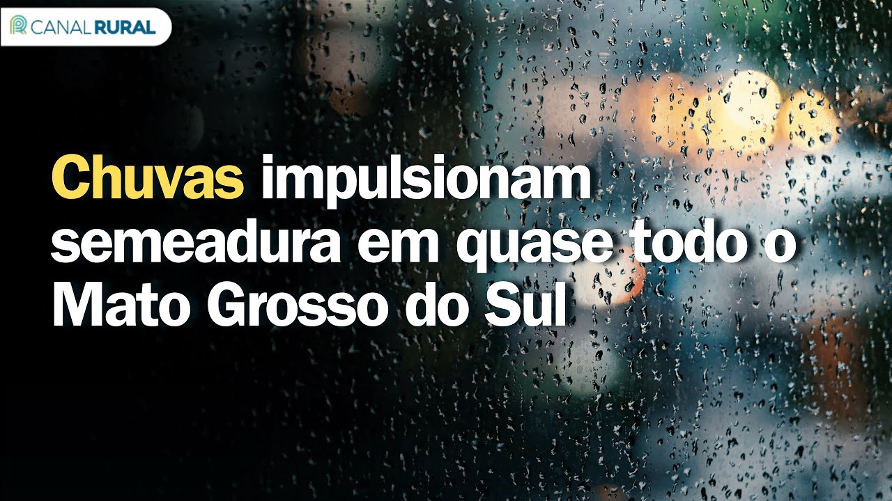 Chuvas impulsionam semeadura em quase todo o Mato Grosso do Sul