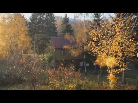 Tekst piosenki Muzyka Końca Lata - Za oknem rude drzewa po polsku