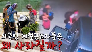 외국인 계절근로자 제도 무엇이 문제인가?