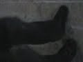 MINDFAKE - WALK UP WALL