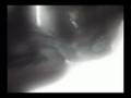videos de Jack To The Future: A Wizard Kitty Movie 2 of 3