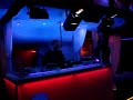 Jet Set 131208
