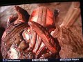 gears-of-war-cheats.html