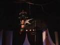 Double Trapeze