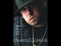 Prrum Official Remix Cosculluela Ft Wisin Y Yandel La Revolucion 2009