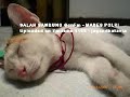 Salah satu episode Salah Sambung, judulnya: MABES POLRI :)Maaf, cuma suara aja.. soalnya ini acara radio.. be a Fan then 'Rock' your friend~ :)Bukan bermaksud menyudutkan siapa2, tp semua ini hanya sebagai komedi aja, so Brighten Up your day with a Smile ;)
