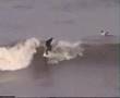 Cromer Tsunami Relief Surf Comp - Jan 2005