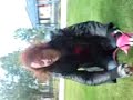 Human Grass Cutter Human Grass Cutter