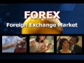 Forex Dynasty Review